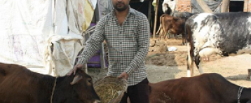 गाय बचाने की मुहिम में जुटा है ये मुस्लिम युवक