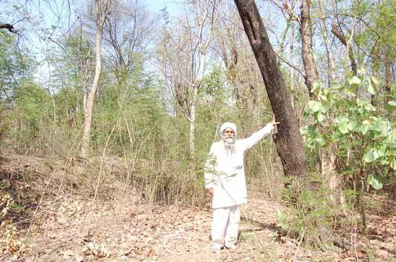 ‘छत्तीसगढ़ के मांझी’ ने अकेले खड़ा कर दिया जंगल, 87 की उम्र पर भारी जुनून