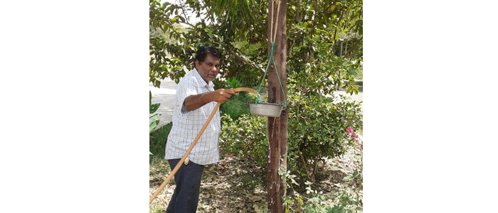 सर्वे में ड्यूटी के साथ ही पौधों की देख भी कर रहे शिक्षक संजय कुमार जैन