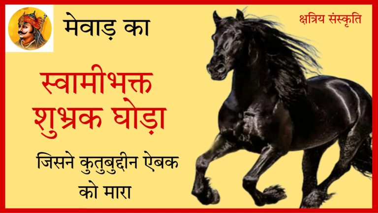 राजकुमार करण सिंह के घोड़े  शुभ्रक ने  कुतुबुद्दीन की जान लेकर राजकुमार के अपमान का बदला लिया मीडिया डेस्क