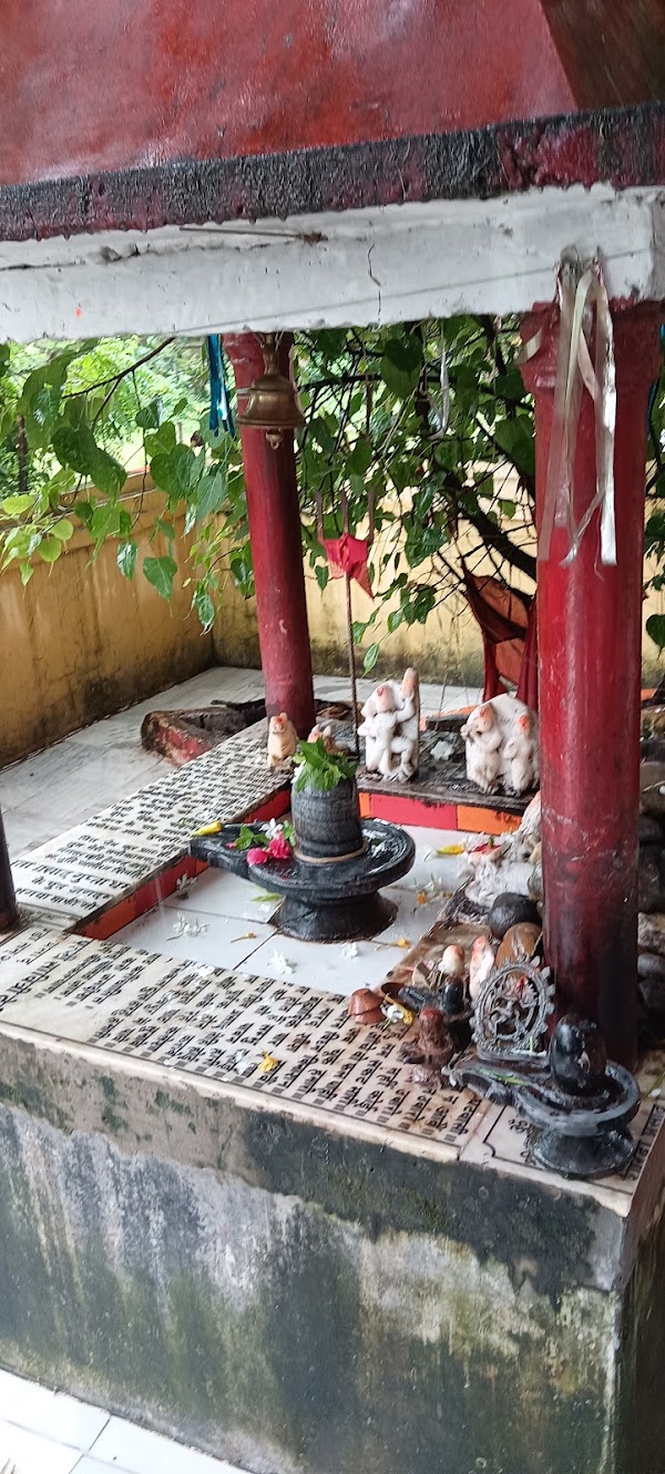 महादेव शिव मंदिर पतिजिया बुजुर्ग,दरियापुर, छपिया